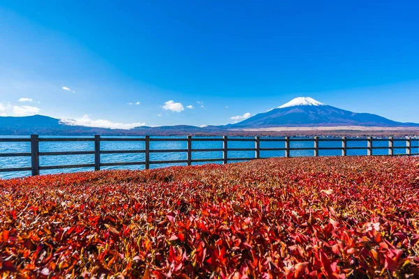 Schöne Landschaft des Berg-Fuji um den Yamanakako-See — Stockfoto