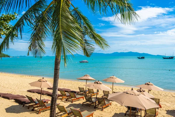 Hindistan cevizi palmiye ağacı ile güzel tropikal plaj deniz ve okyanus bir