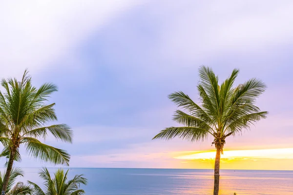 Hermosa playa de mar con palmera al amanecer para el alcohol —  Fotos de Stock