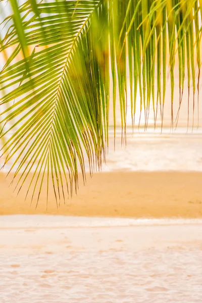 Bella spiaggia mare oceano con palma all'alba per l'alcol — Foto Stock