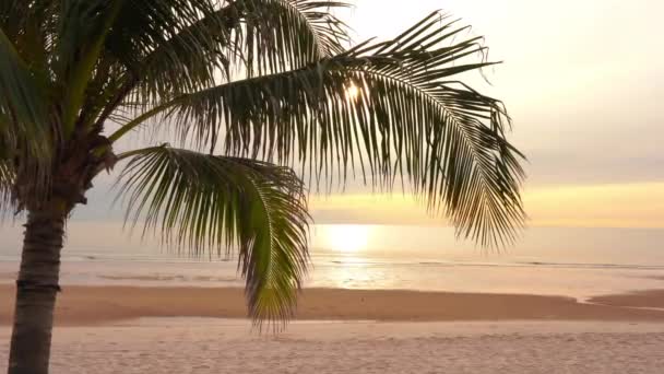 Imágenes Tranquilas Hermoso Mar Ondulado — Vídeo de stock