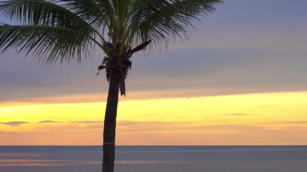 Imagens Tranquilas Belo Mar Ondulado — Vídeo de Stock