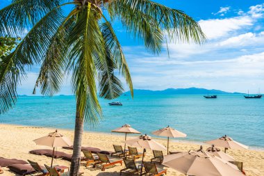 Hindistan cevizi palmiye ağacı ile güzel tropikal plaj deniz ve okyanus bir