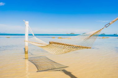 Holi için tropikal plaj deniz okyanusu etrafında güzel boş hamak