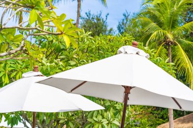 Üzerinde hindistan cevizi palmiye ağacı ile şemsiye seçici odak noktası 