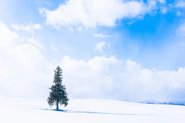 Hermoso paisaje de naturaleza al aire libre con solo árbol de Navidad en — Foto de Stock