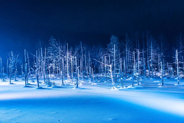 Bellissimo paesaggio esterno con laghetto blu fiume di notte con l — Foto Stock