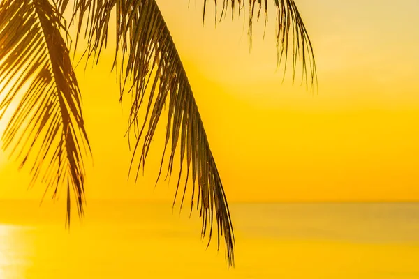 Frumos peisaj tropical în aer liber de plajă ocean mare cu coc — Fotografie, imagine de stoc