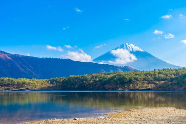 Dağ fuji ile akçaağaç yaprağı ağacın etrafında güzel manzara