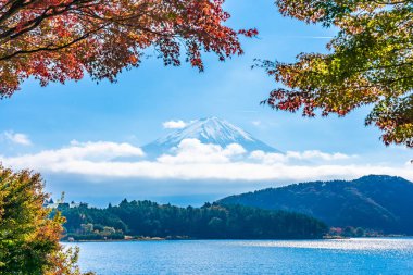 Dağ fuji ile akçaağaç yaprağı ağacın etrafında güzel manzara