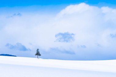 Güzel açık doğa manzara ile Noel ağacı kışın