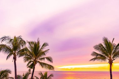 Hol için gün doğumu saatinde palmiye ağacı ile güzel deniz okyanusu plaj