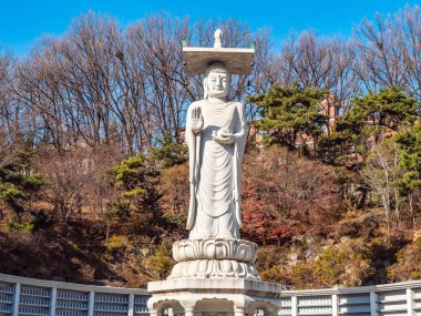 Güzel Budizm heykel Bongeunsa Tapınak