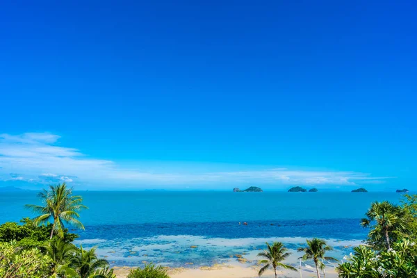 Nádherný tropický mořský oceán s kokosovým palmovým stromem na modrém nebi — Stock fotografie