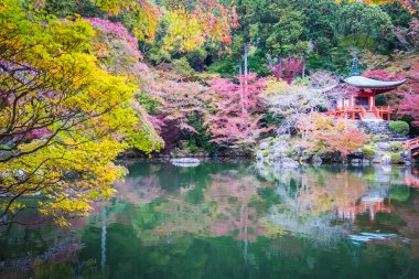 Güzel Daigoji Tapınağı ile renkli ağaç ve yaprak sonbahar s