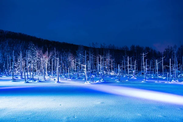 Beau paysage extérieur avec étang bleu rivière la nuit avec l — Photo