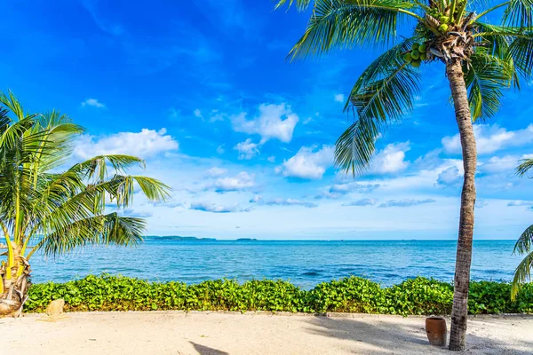 Bela paisagem da praia mar oceano com coco palmeira wi — Fotografia de Stock
