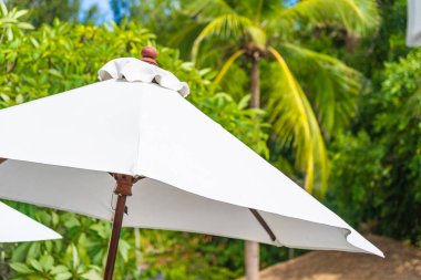 Üzerinde hindistan cevizi palmiye ağacı ile şemsiye seçici odak noktası 