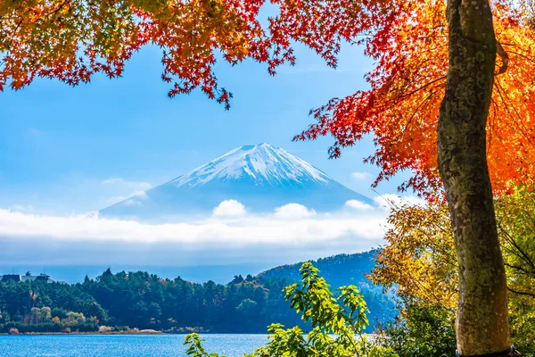 Schöne Landschaft des Berg-Fuji mit Ahornblatt-Baum herum — Stockfoto