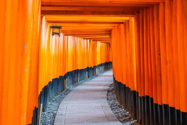 Güzel fushimi Inari tapınak tapınak Kyoto