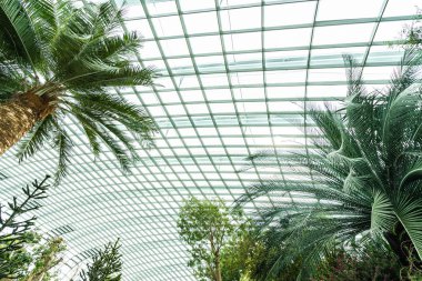 Çiçek kubbe Bahçesi ve greenhous bina güzel mimari