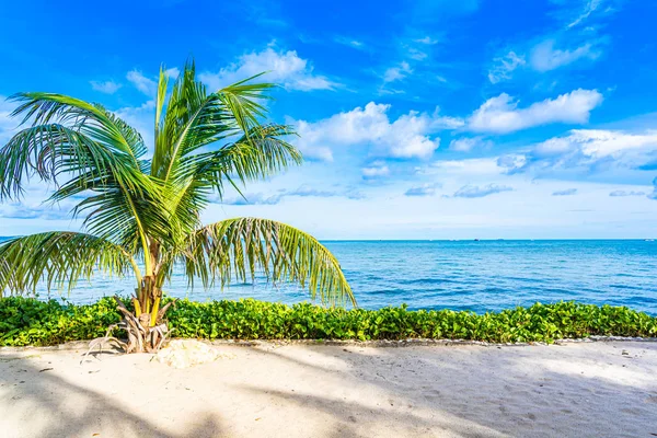 Hermoso paisaje de playa mar océano con palmera de coco wi — Foto de Stock