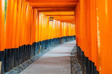 Güzel fushimi Inari tapınak tapınak Kyoto