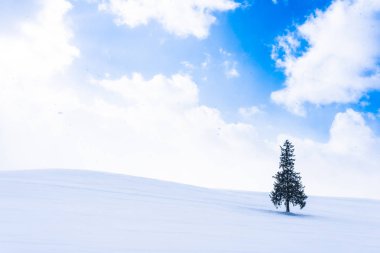 Güzel açık doğa manzara ile yalnız Sunni Noel ağacında