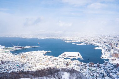 Güzel manzara ve tuvalet için dağ Hakodate üzerinden cityscape