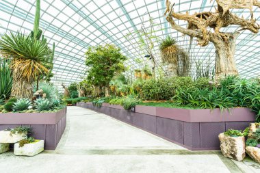 Çiçek kubbe Bahçesi ve greenhous bina güzel mimari