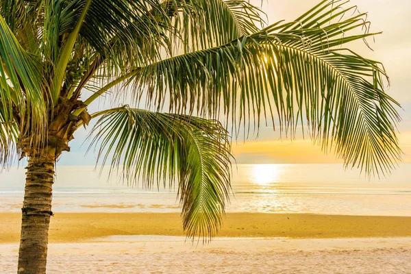 Prachtige zee oceaan strand met palmboom bij zonsopgang tijd voor hol — Stockfoto