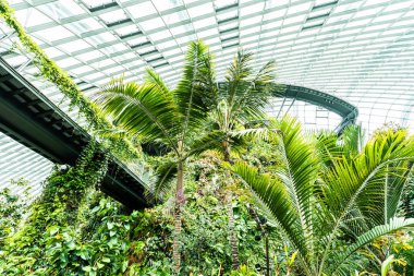 Çiçek kubbe Bahçesi ve greenhous bina güzel mimari