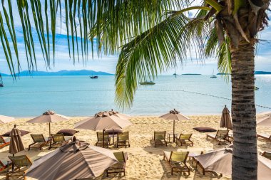 Hindistan cevizi palmiye ağacı ile güzel tropikal plaj deniz ve okyanus bir