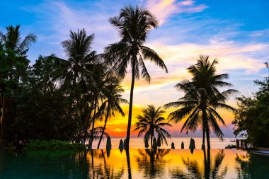 Yüzme havuzu güzel açık tropikal doğa manzara 