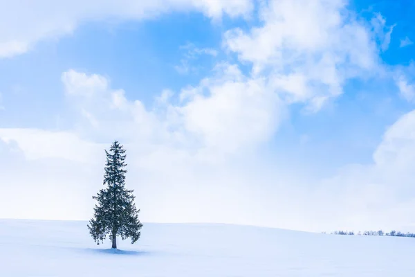 Gyönyörű szabadtéri természeti táj egyedül karácsonyi fa — Stock Fotó