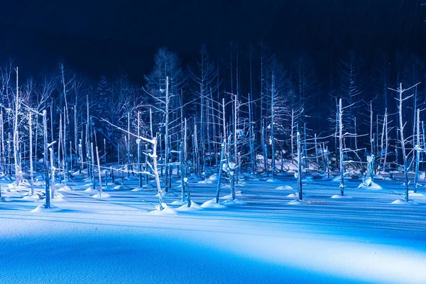 Bela paisagem ao ar livre com lago azul rio à noite com l — Fotografia de Stock