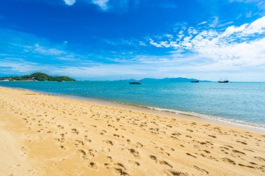 Hindistan cevizi palmiye ağacı ile güzel tropikal plaj deniz ve okyanus bir