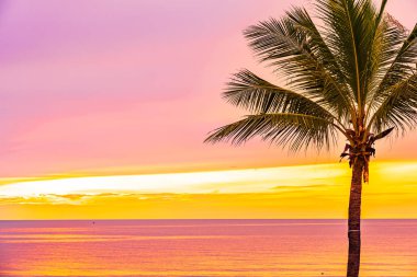 Hol için gün doğumu saatinde palmiye ağacı ile güzel deniz okyanusu plaj