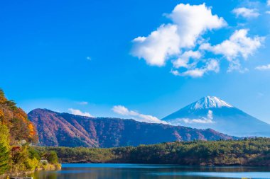 Dağ fuji ile akçaağaç yaprağı ağacın etrafında güzel manzara