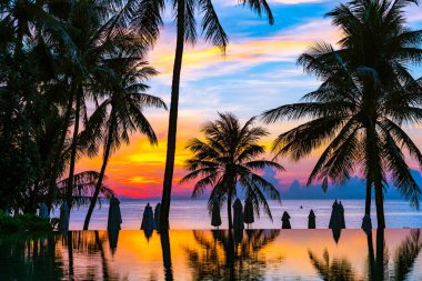 Yüzme havuzu güzel açık tropikal doğa manzara 