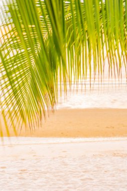 Hol için gün doğumu saatinde palmiye ağacı ile güzel deniz okyanusu plaj