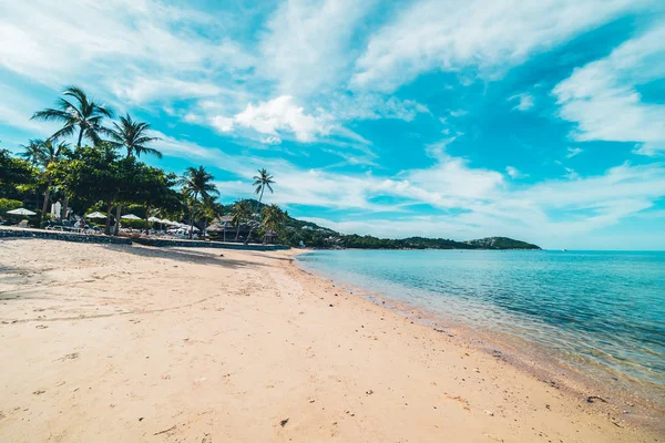 Schöner tropischer Strand Meer und Sand mit Kokospalmen auf — Stockfoto