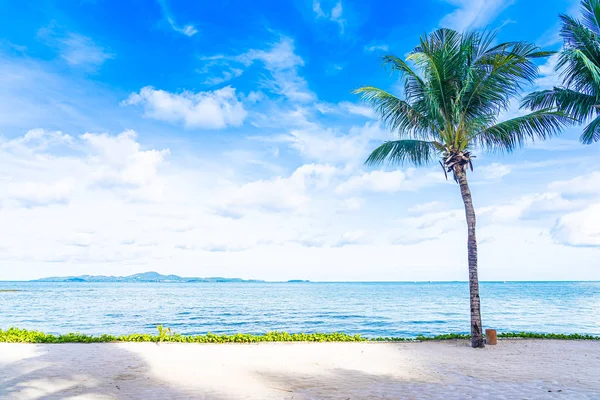 Piękny krajobraz plaży morze oceanu z palmy kokosowe Wi — Zdjęcie stockowe