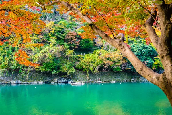 Όμορφο ποταμό Arashiyama με φύλλα δέντρο σφενδάμνου και γύρω από το σκάφος — Φωτογραφία Αρχείου
