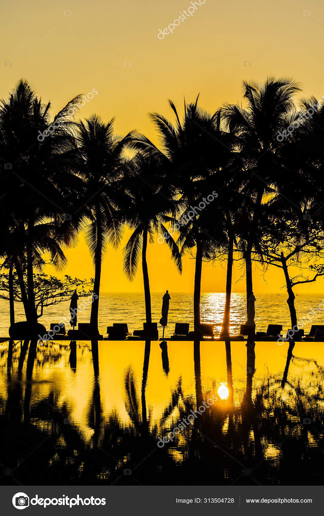 Bela Silhueta Coqueiro No Ceu Em Torno De Natacao Po Stock Photo C Mrsiraphol 313504728