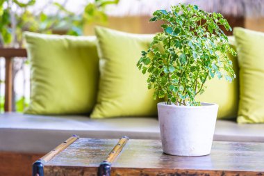 Koltuk koltuğu üzerinde yastık ile masa dekorasyonu vazo bitki