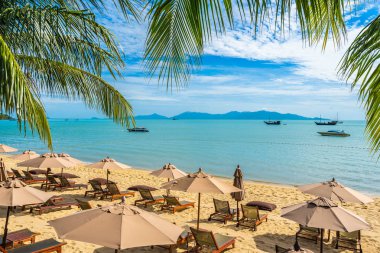 Hindistan cevizi palmiye ağacı ile güzel tropikal plaj deniz ve okyanus bir