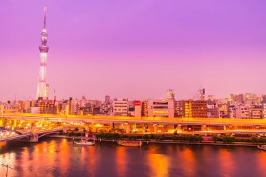 Tokyo, Japonya - 3 Ağustos 2018: bina güzel mimari 