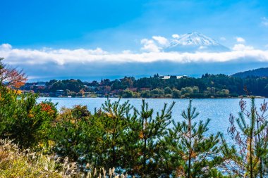 Dağ fuji ile akçaağaç yaprağı ağacın etrafında güzel manzara