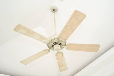 Beyaz tavan fan dekorasyon iç